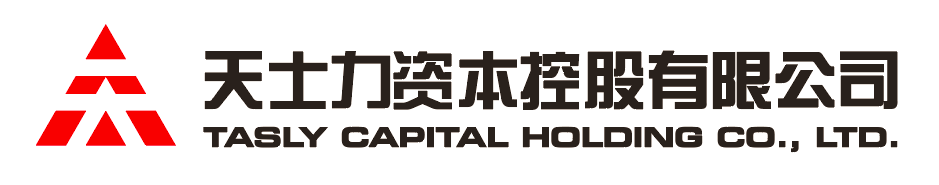 大发28资本控股有限公司